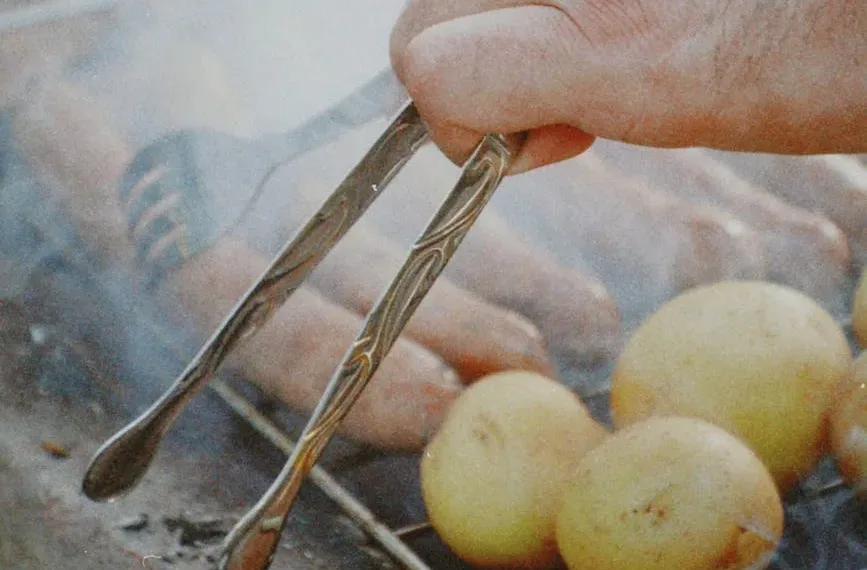 Best Kitchen Tongs for Grilling: featured image