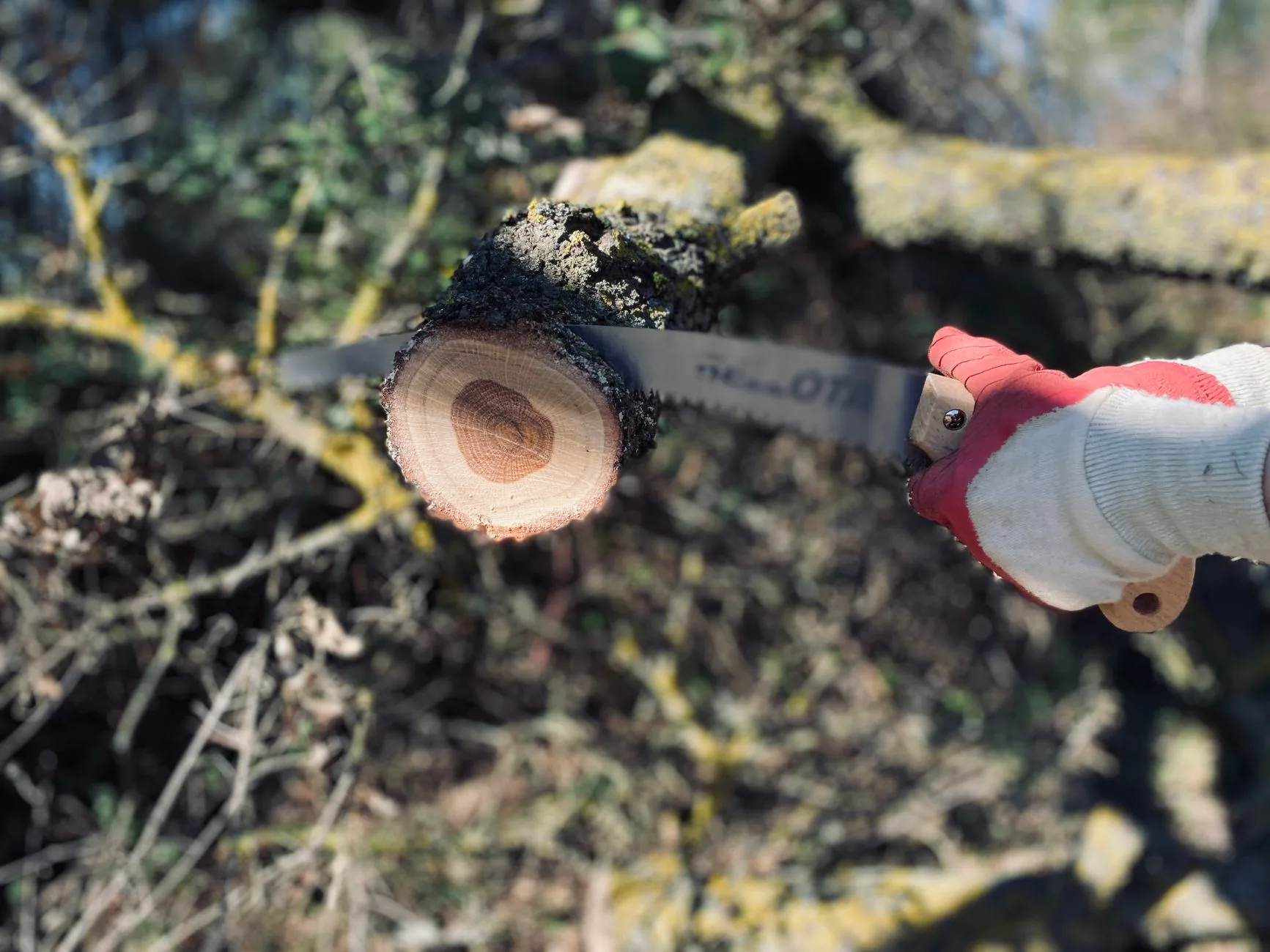 Best Hand Saws for Wood Cutting: 9 Top Picks for Precision, Pruning & DIY Projects