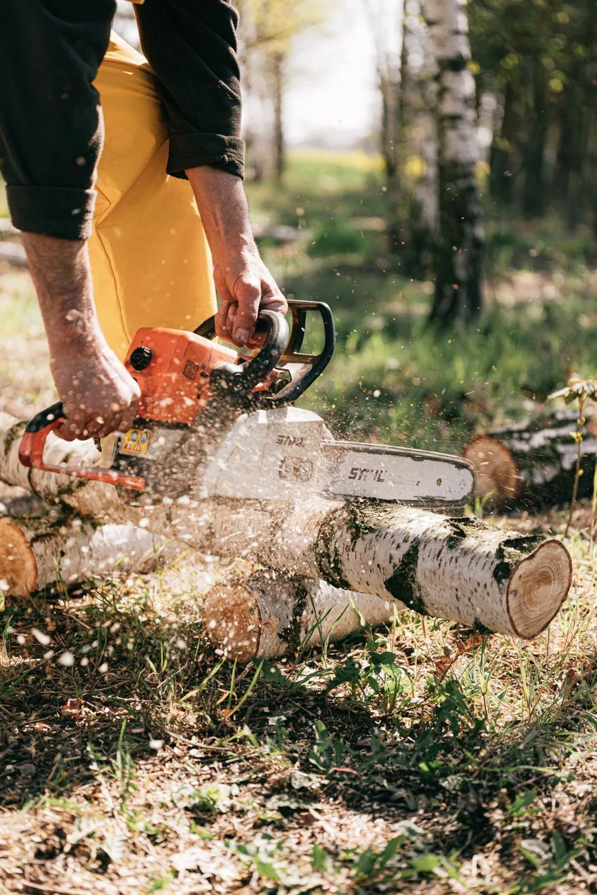 Best Mini Chainsaws for Home Use: 9 Top Picks Compared